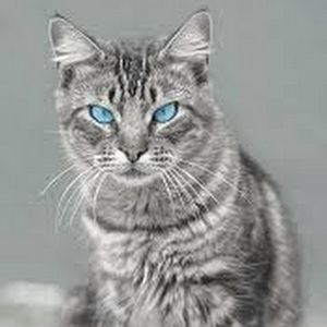 Meet your Posher, Laurissa